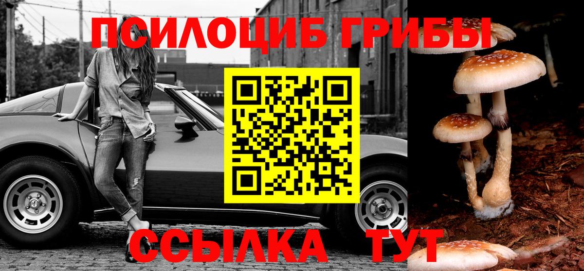 Первоуральск  Псилоцибиновые грибы MAGIC MUSHROOMS  Вход с VPN 