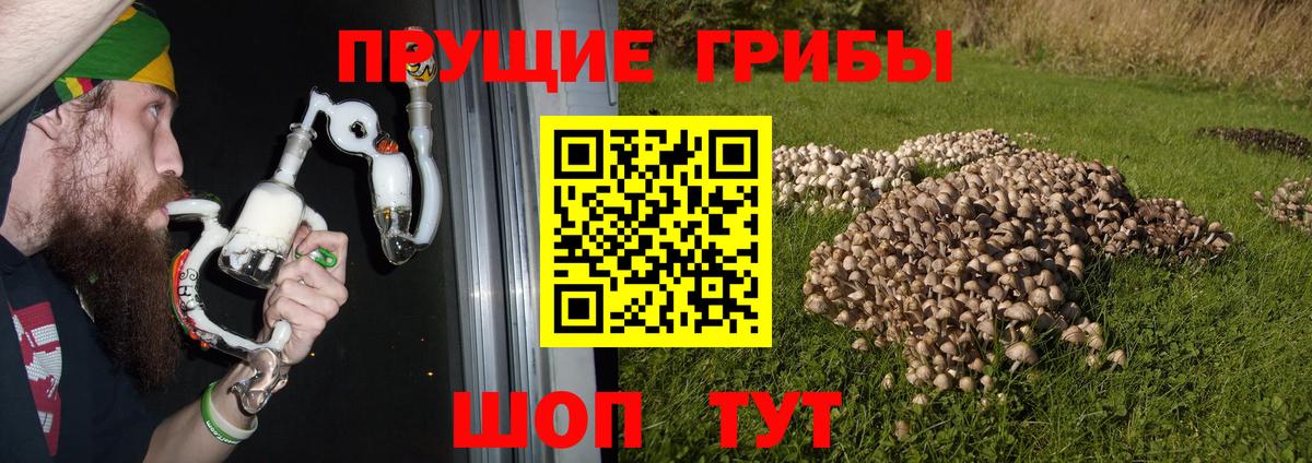 Галлюциногенные грибы GOLDEN TEACHER Первоуральск